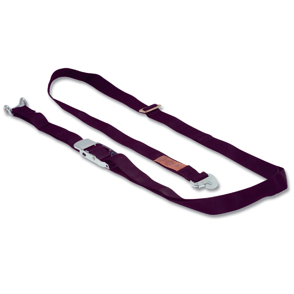 Light Duty Curtainsider Centre Pole Strap (5.5m)